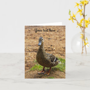 Carte de vœux Canard colvert
