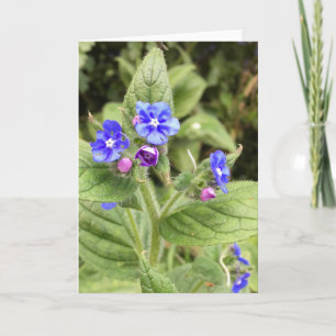 Carte de voeux, carte de note, florale, cartes en 