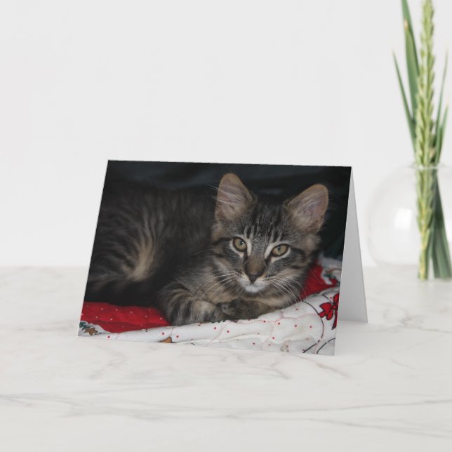 Carte de voeux Caspian Noir (Devant)