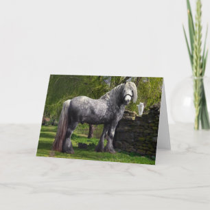 Carte de voeux "Caspian & Ses Chats"