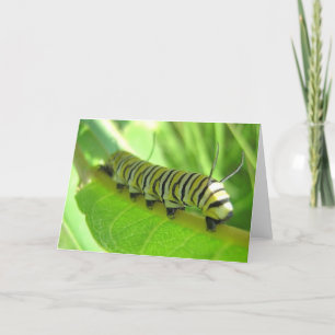 Carte de voeux Caterpillar