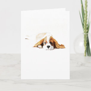 Carte de vœux Cavalier King Charles Spaniel, Cadea