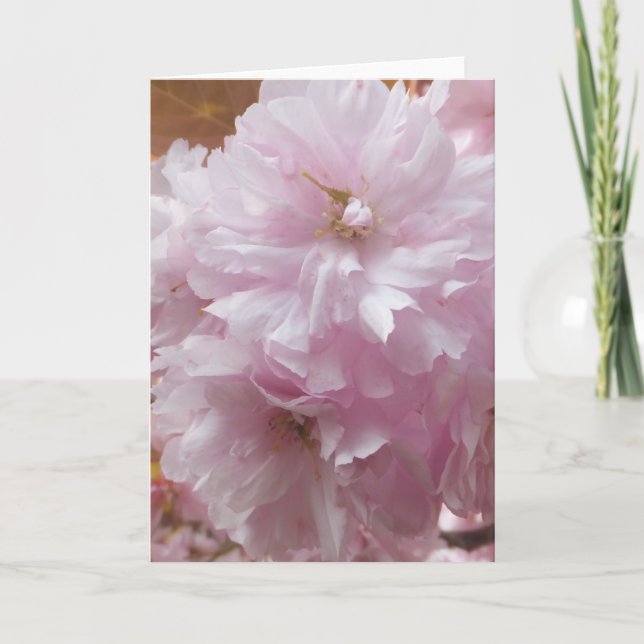 Carte de voeux Cerry Blossom (Vierge à l'intérieur (Devant)