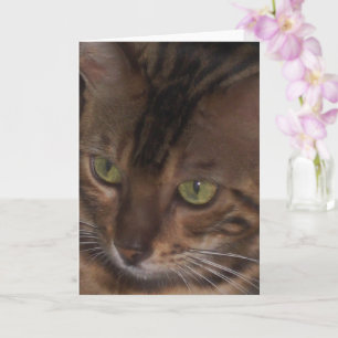 Carte de vœux - Chat Bengal