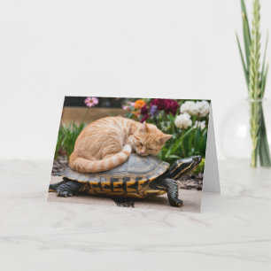 Carte de vœux chaton mignon et tortue