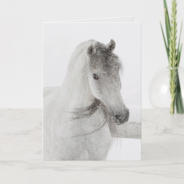 Carte de voeux Cheval - Mischievous Snowy Mare (Devant)