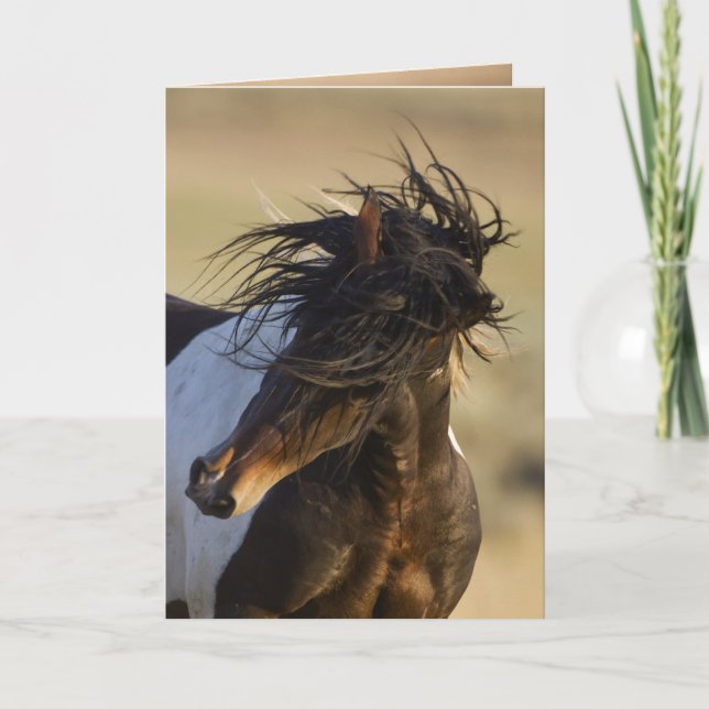 Carte de voeux Cheval sauvage Shake Head (Devant)