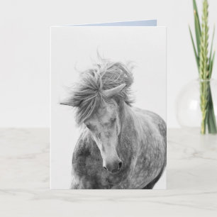 Carte de voeux Cheval - Young Camargue Stallion Ru