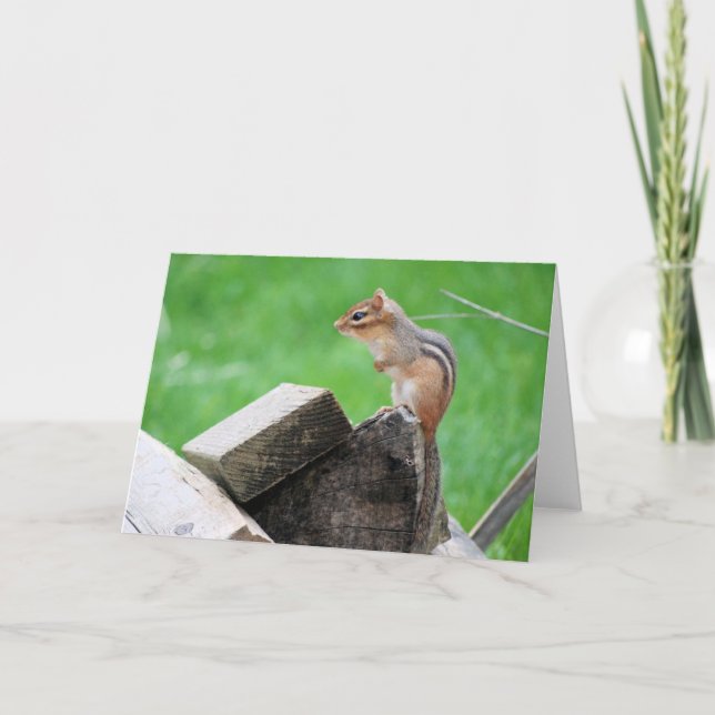 Carte de voeux Chipmunk (Devant)