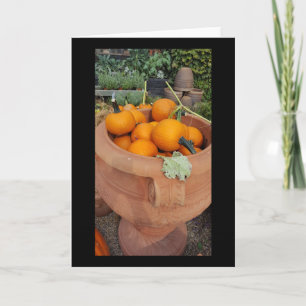 Carte de voeux citrouilles d'automne