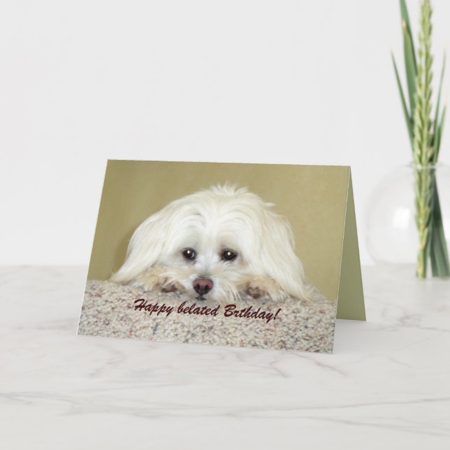 Carte de voeux 'Cody' Joyeux anniversaire tardif ! (Devant)