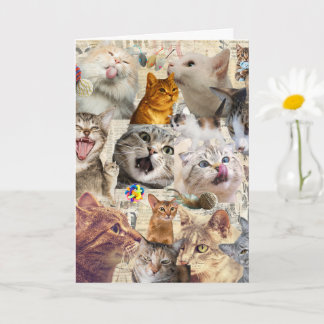 Carte de vœux collage de chats