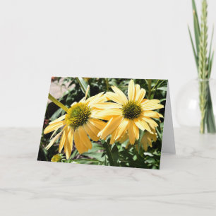 Carte de vœux Coneflowers