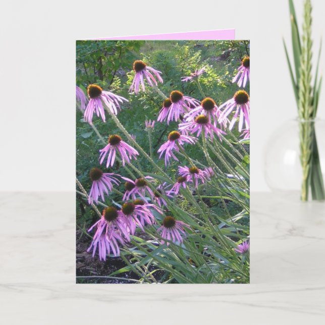 Carte de voeux - Coneflowers (Devant)