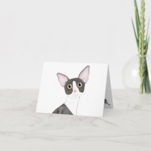 Carte de voeux Cornish Rex