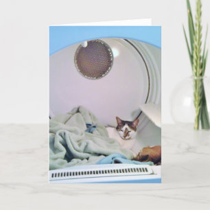Carte de voeux Cosy Places