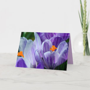 carte de voeux crocus
