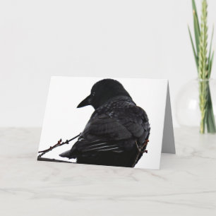 Carte de voeux Crow