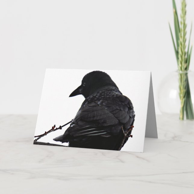 Carte de voeux Crow (Devant)