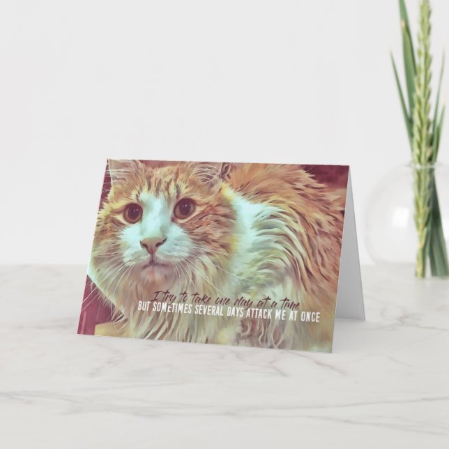 Carte de voeux CURIEUSE (Devant)