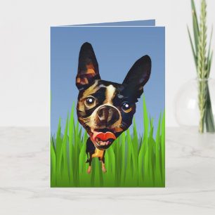 Carte de voeux Cute Cartoon Boston Terrier