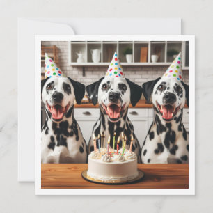 Carte de voeux dalmate, anniversaire dalmate