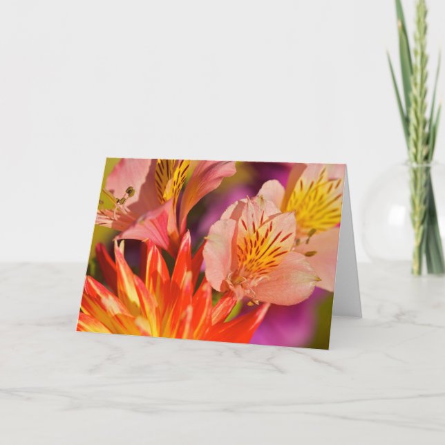 Carte de voeux d'Alstroemeria (Devant)