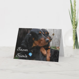 Carte de vœux d'amitié Gordon Setter Pals
