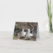 Carte de vœux d'amitié Nazca Bird