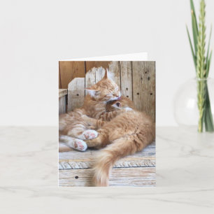 Carte de vœux d'amour de chaton