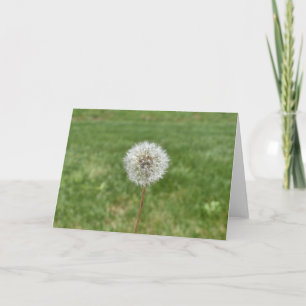 Carte de voeux Dandelion