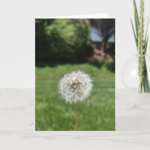 Carte de voeux Dandelion