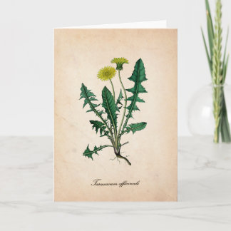 Carte de voeux Dandelion, illustration scientifiqu