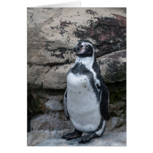 Carte de voeux d'animaux avec un pingouin.