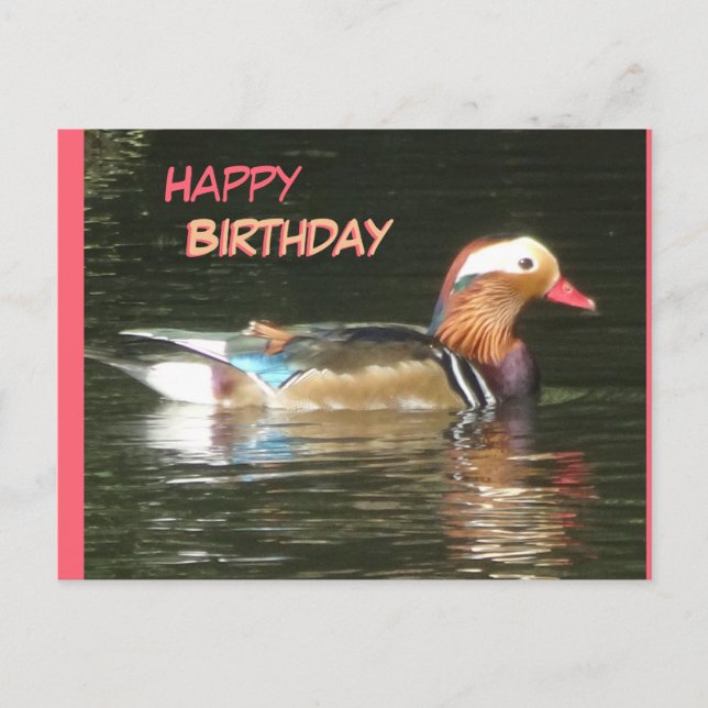 Carte de vœux d'anniversaire avec canard mandarin (Devant)