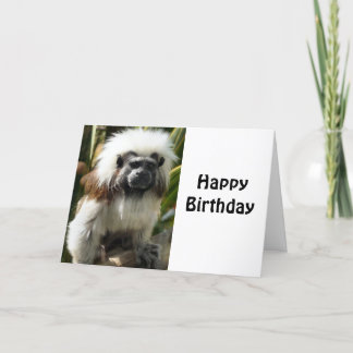 Carte de voeux d'anniversaire, avec mignon singe