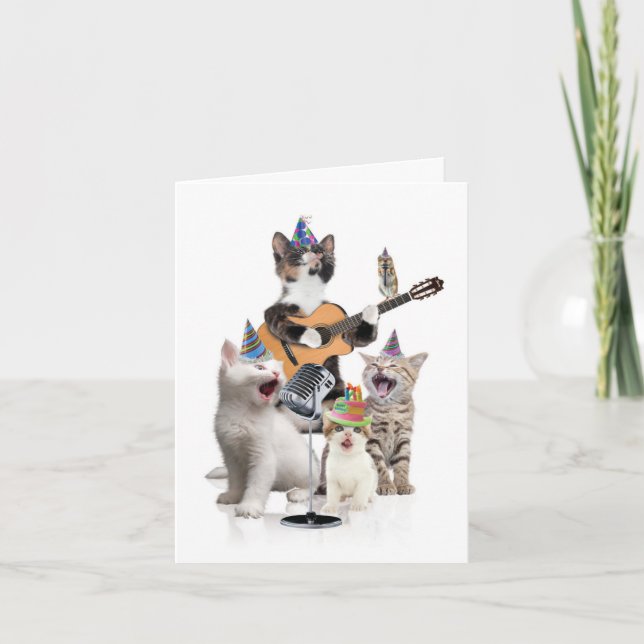 Carte de voeux d'anniversaire - Bandes d'animaux - (Devant)
