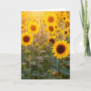 CARTE DE VŒUX D'ANNIVERSAIRE CHAMP DE TOURNESOLS