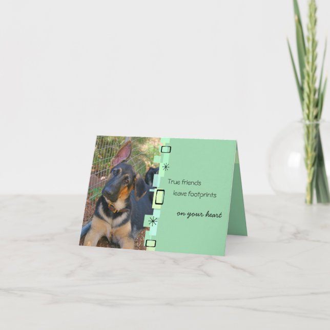 Carte de voeux d'anniversaire de berger allemand (Devant)
