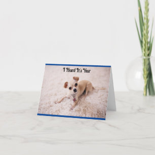 Carte de voeux d'anniversaire de chien blanc migno