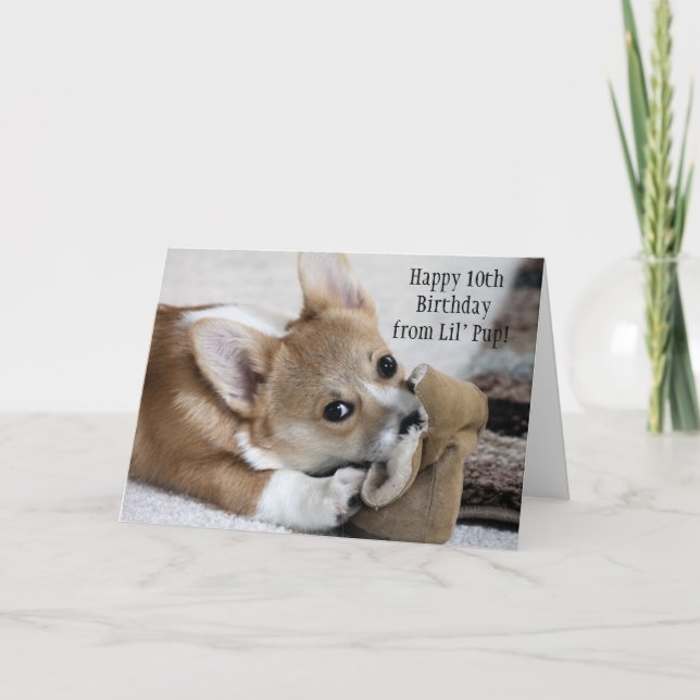 Carte de voeux d'anniversaire de Corgi (Devant)