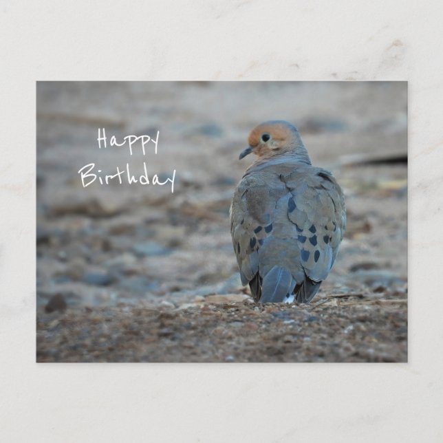 Carte de vœux d'anniversaire de jolie Tourterelle  (Devant)