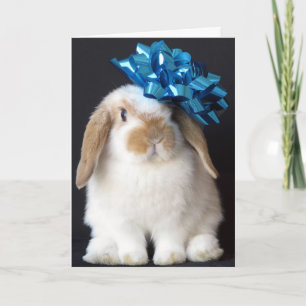 Carte de voeux d'anniversaire de lapin