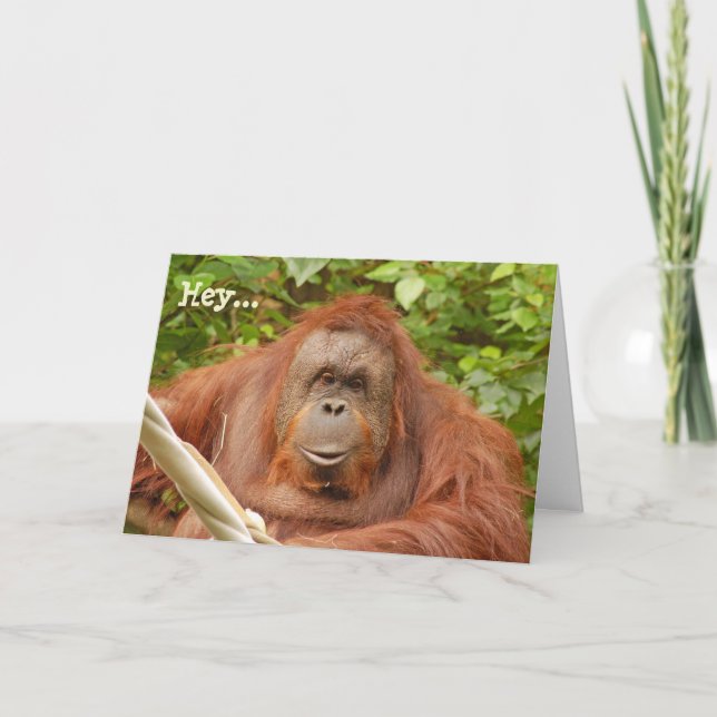 Carte de voeux d'anniversaire de l'orangoutan mign (Devant)