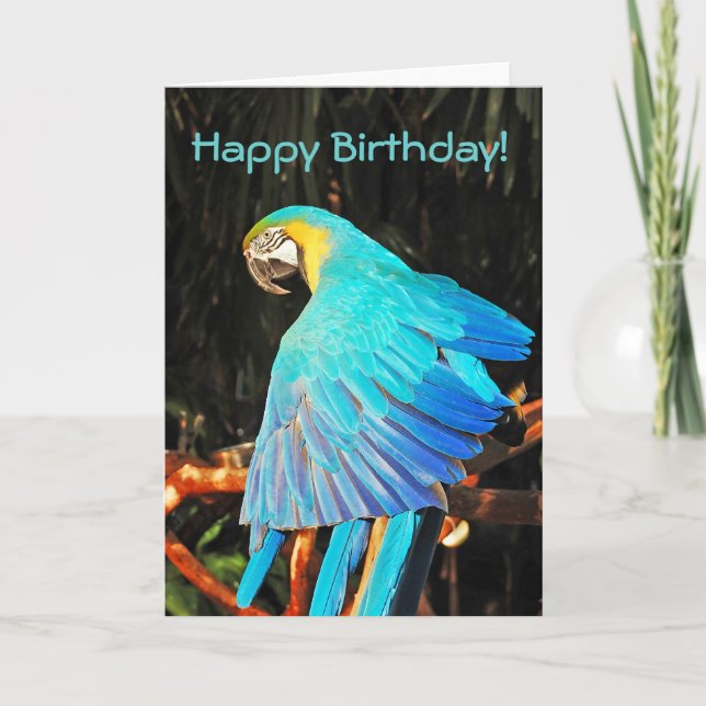 Carte de voeux d'anniversaire de perroquet macaw b (Devant)