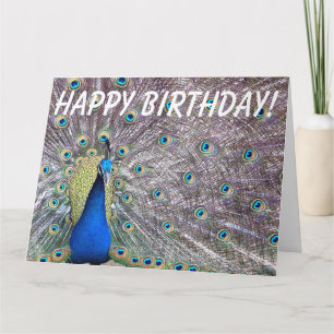Carte de voeux d'anniversaire d'oiseau de paon