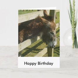 Carte de voeux d'anniversaire Donkey