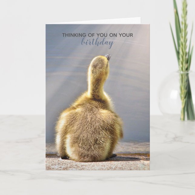 Carte de voeux d'anniversaire ensoleillée (Devant)