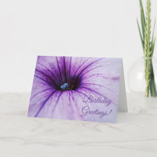Carte de vœux d'anniversaire Fleur de Pétunia Viol