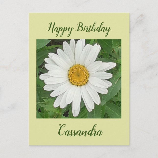 Carte de vœux d'anniversaire Marguerite Blanche (Devant)